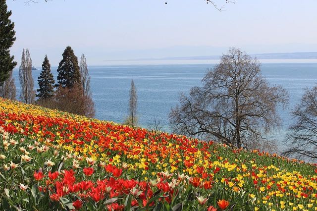 Orte zum Heiraten - Insel Mainau